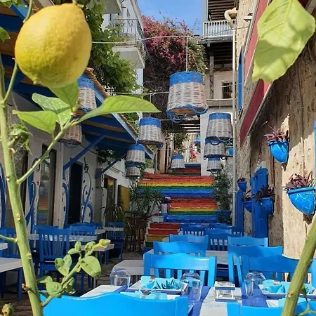 Kalkan Boa Vista